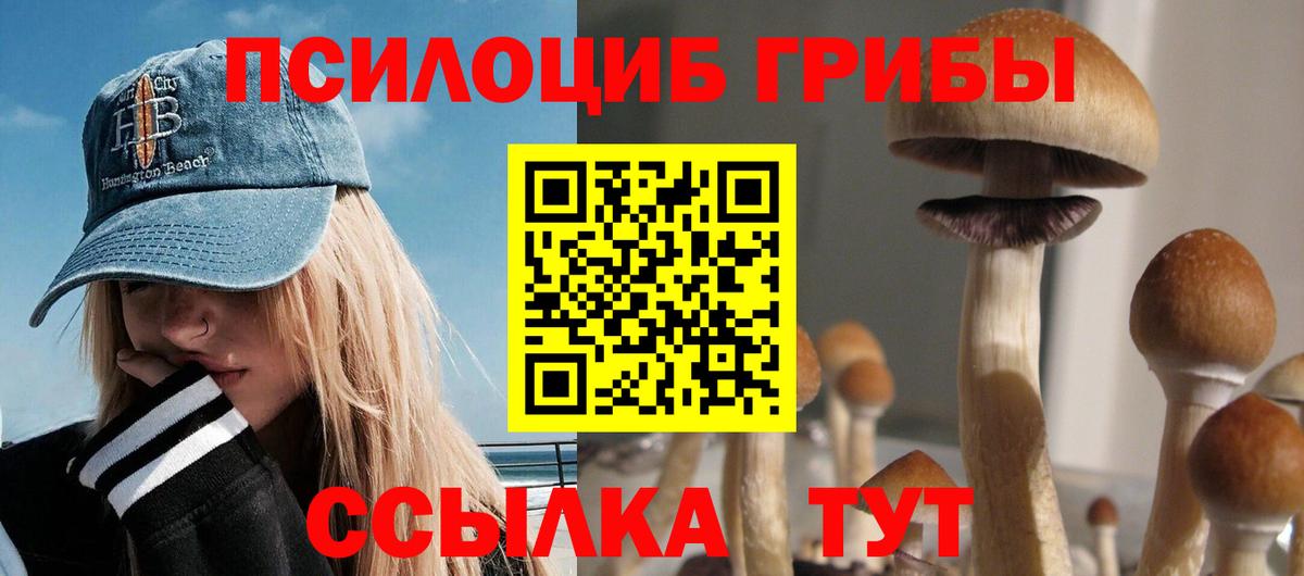 Качканар  Галлюциногенные грибы ЛСД  Вход с VPN  Галлюциногенные грибы Cubensis 